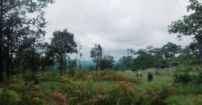 Virachey National Park Guide: Explore The Wilderness Now