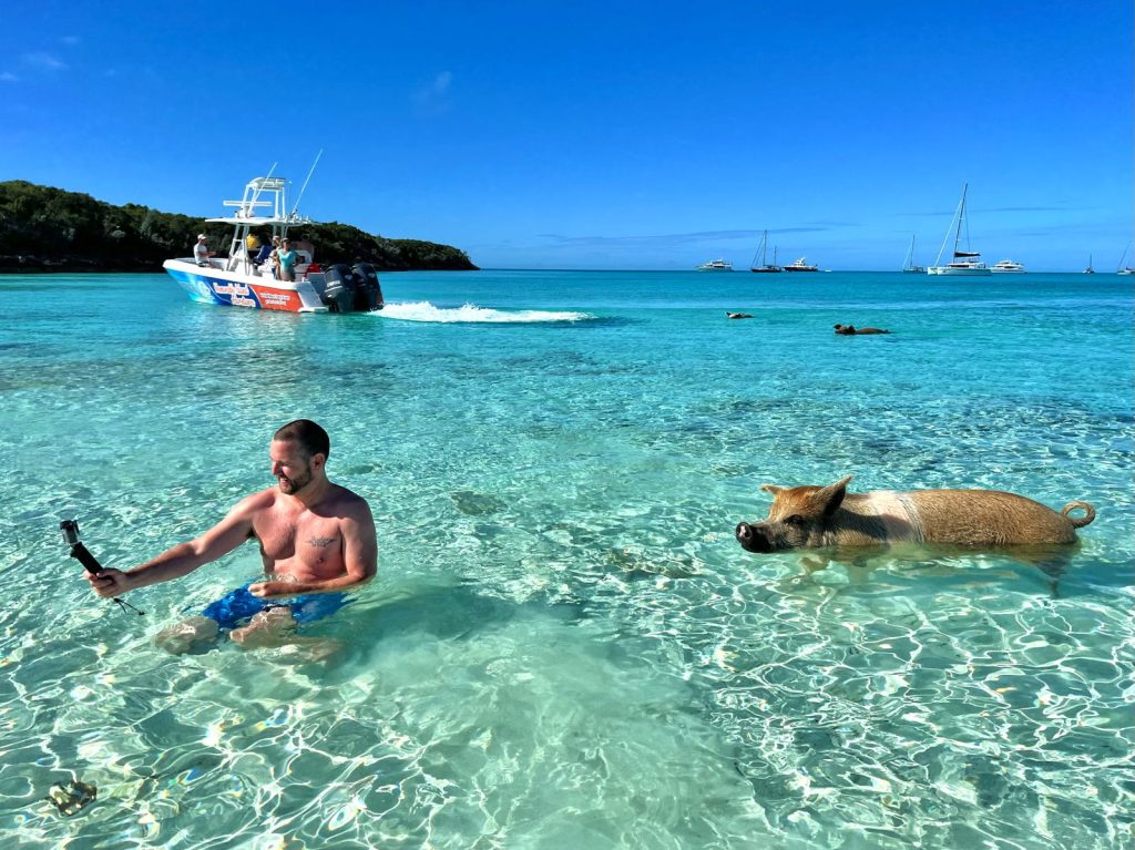 How To Swim With Pigs in The Bahamas (Pig Beach)